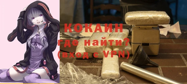 стаф Каменка