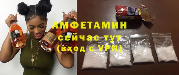 стаф Каменка