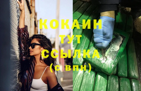 стаф Каменка