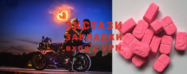 стаф Каменка