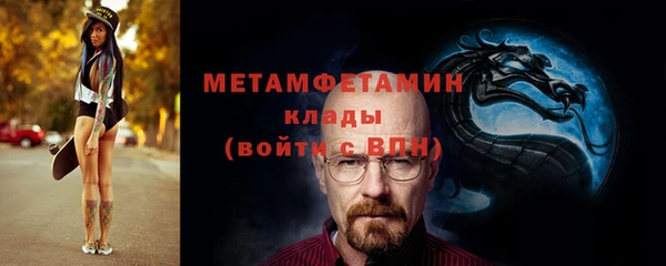 стаф Каменка