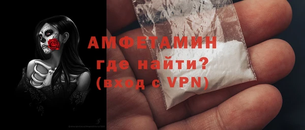 стаф Каменка