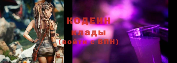 стаф Каменка