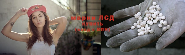 трава Каменногорск