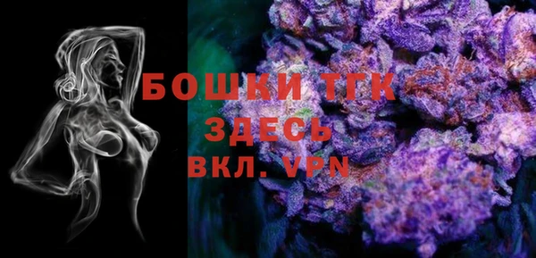 стаф Каменка