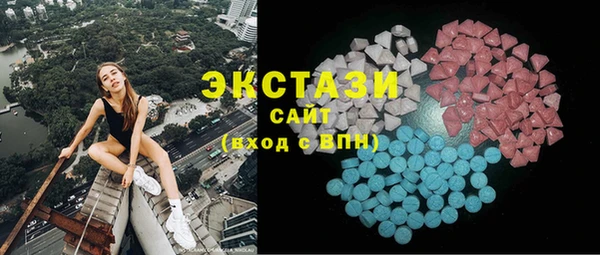 стаф Каменка