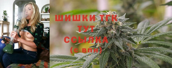 стаф Каменка