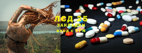 стаф Каменка
