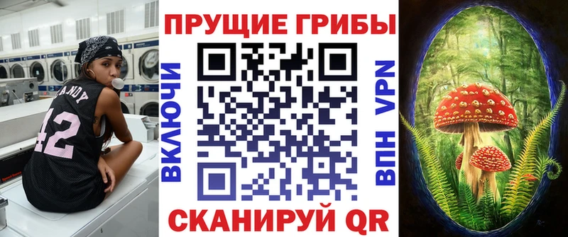 Галлюциногенные грибы Cubensis  Купить  Биробиджан 